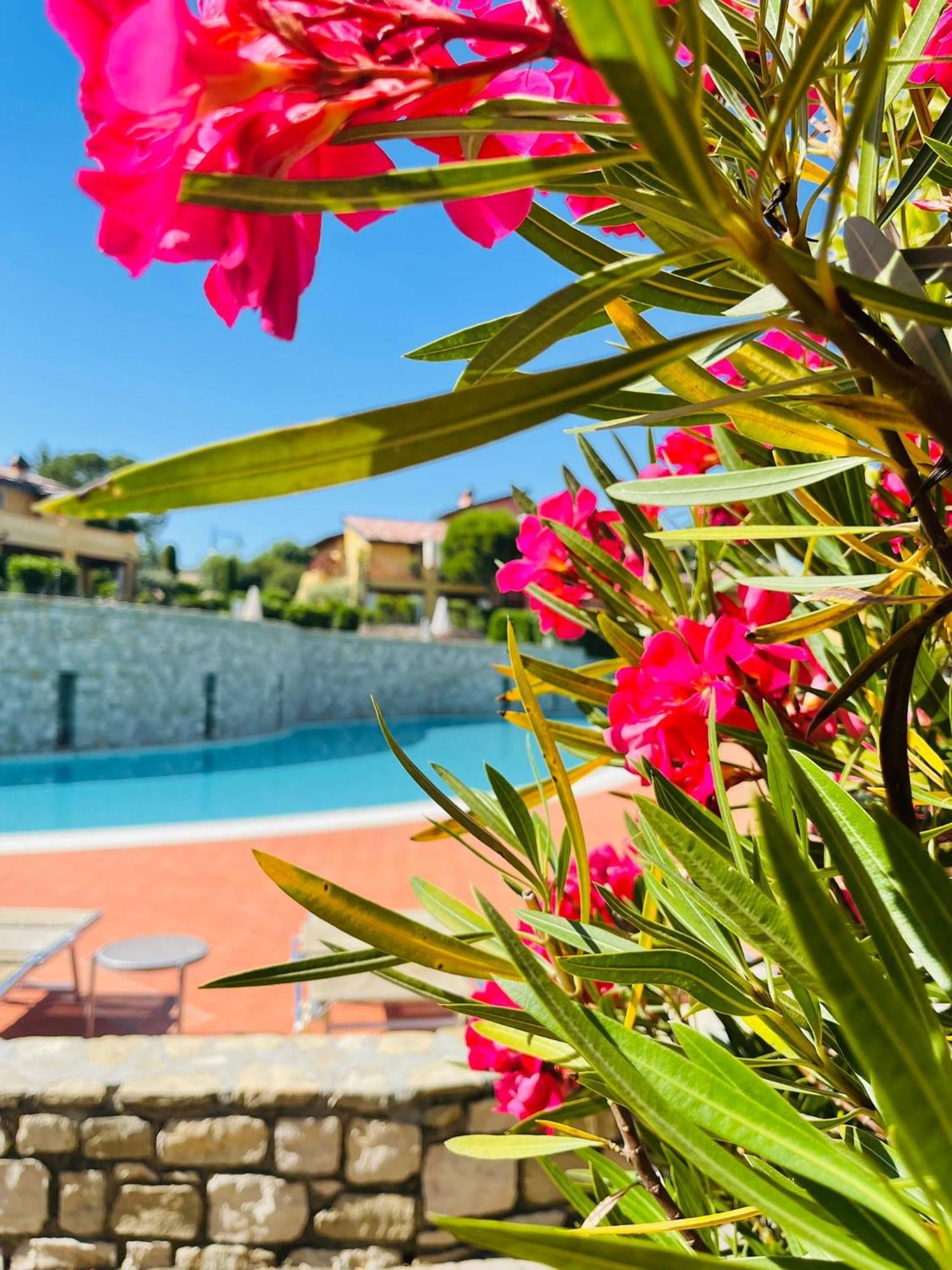 Borgo Del Torchio - Gardagate Apartment Manerba del Garda Exterior foto